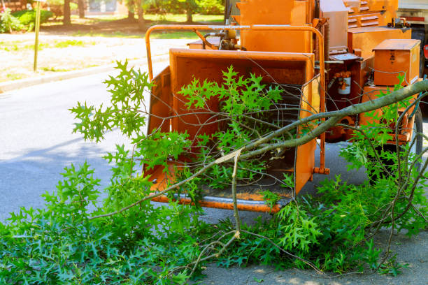 Lawn Irrigation Installation and Maintenance in Sanford, CO