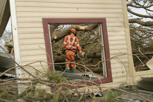 How Our Tree Care Process Works  in  Sanford, CO